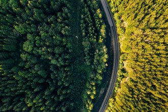 Luftaufnahme eines Waldstücks, den eine Straße teilt