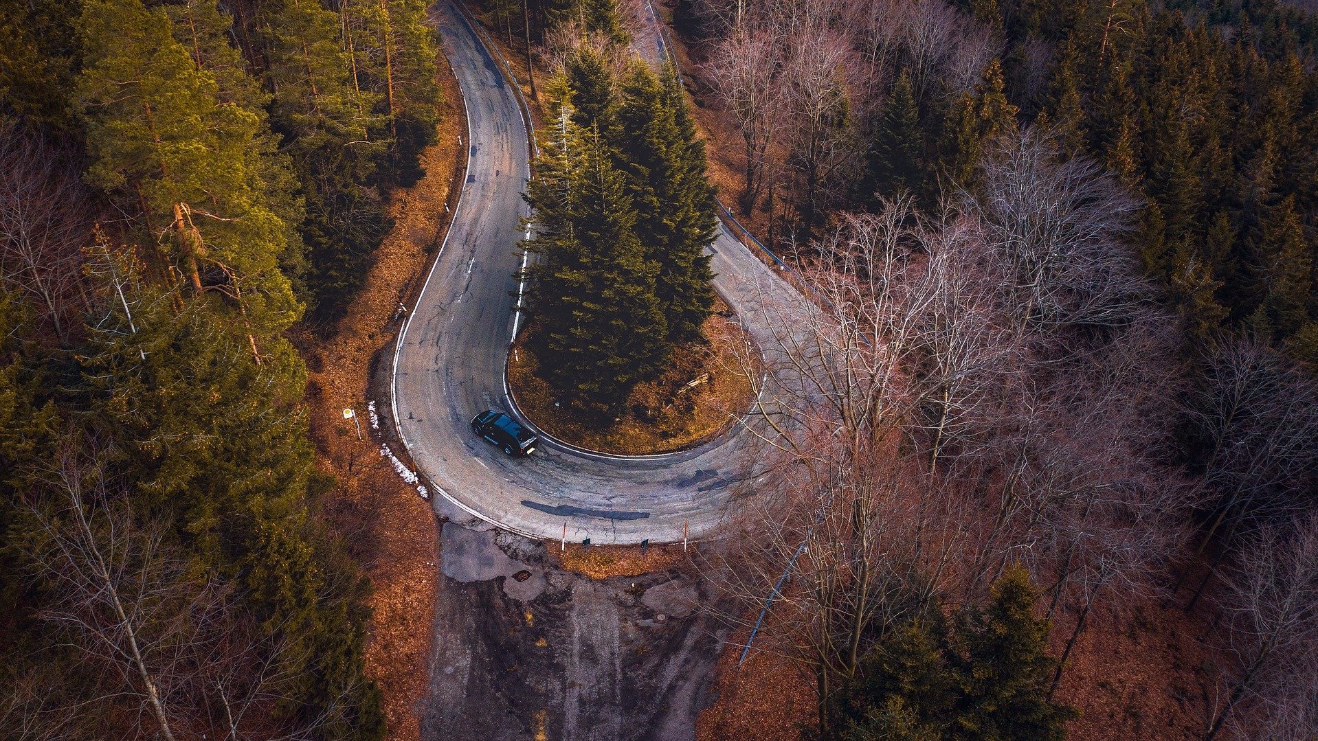 Serpentine durch ein Waldstück von oben gesehen